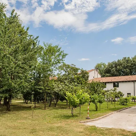 La Del Vecchio Platano Bed & Breakfast Vigonovo (Veneto)