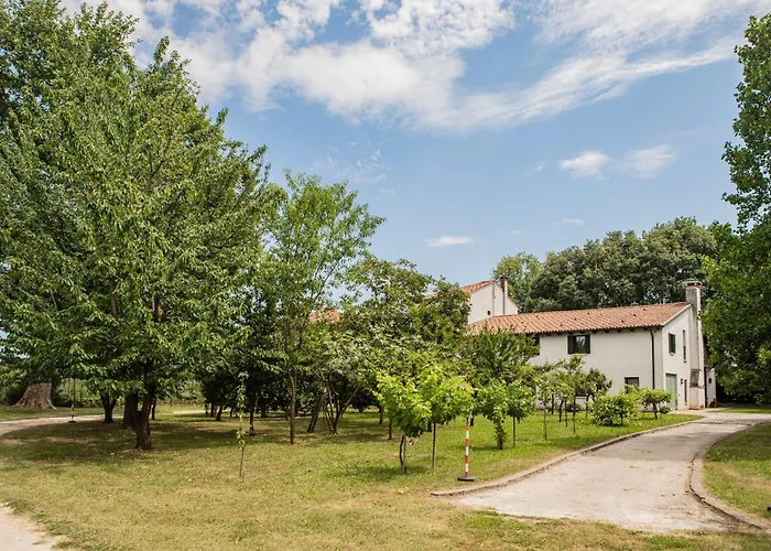 La Del Vecchio Platano Alojamento de Acomodação e Pequeno-almoço Vigonovo (Veneto)